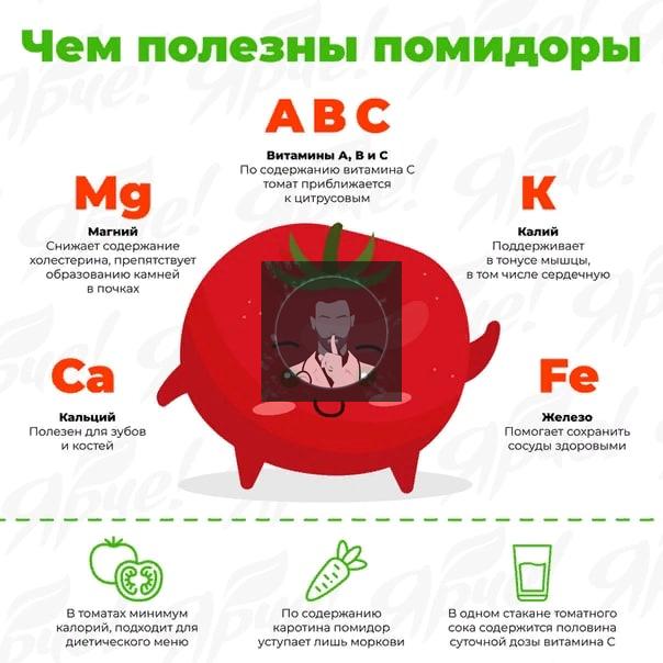 Помидоры. Их полезные свойства и влияние на организм