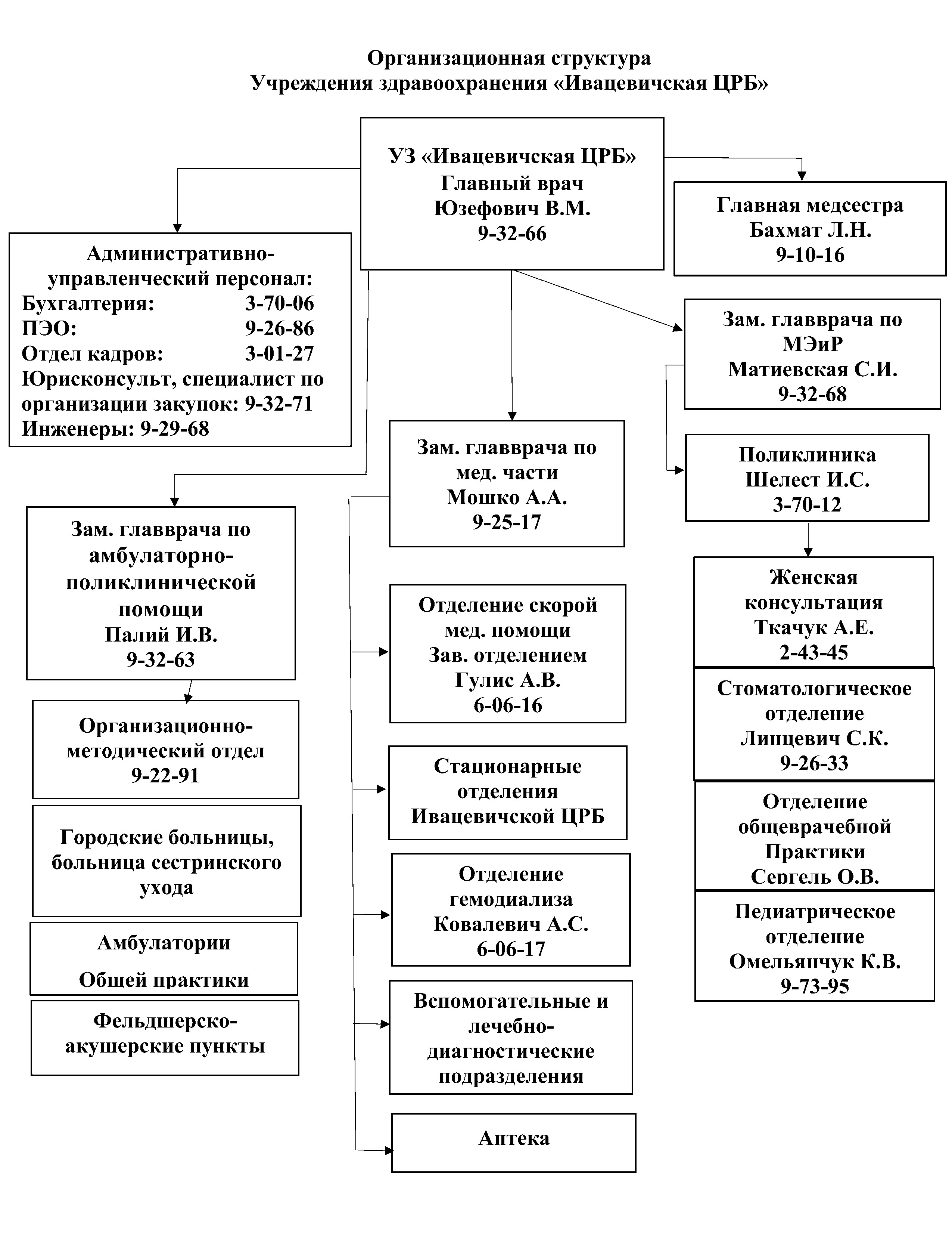 Организационная структура