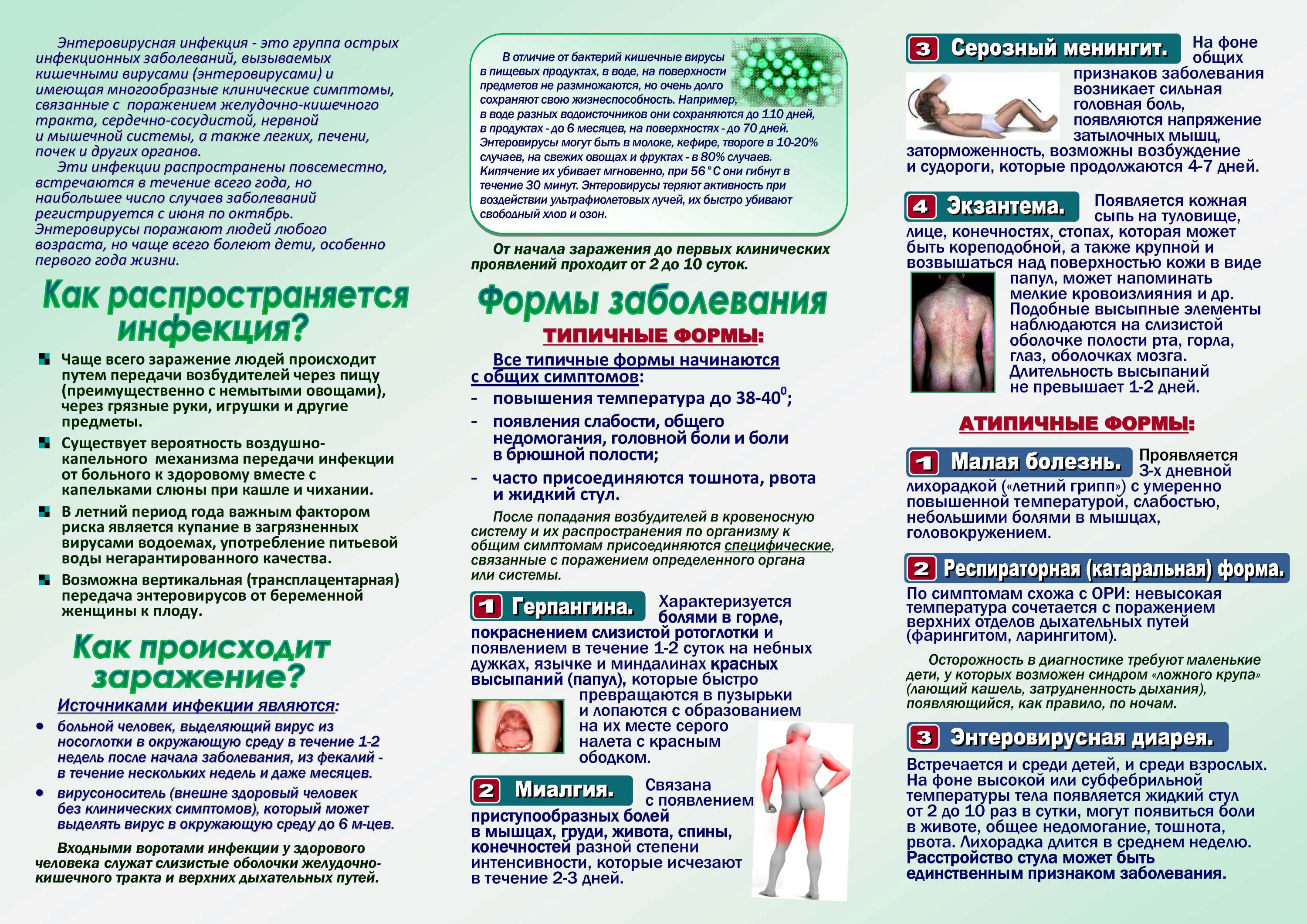Энтеровирусная инфекция 2